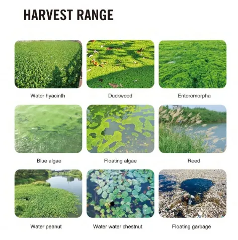 Mini Efficient Aquatic Weed Harvester Mowing Boat for One Person to Operate
