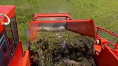 Récolteuse d'herbes aquatiques pour le nettoyage des algues de rivière